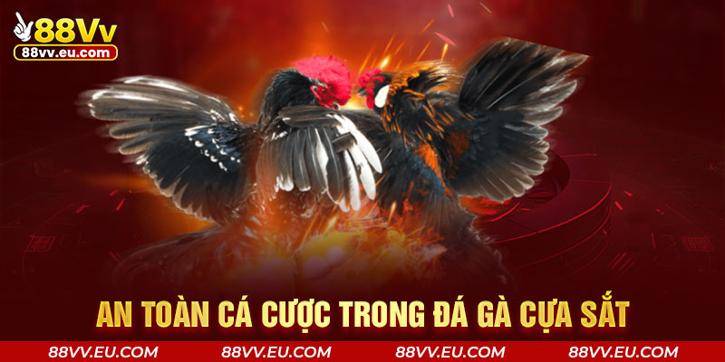 An toàn cá cược trong đá gà cựa sắt An toàn cá cược trong đá gà cựa sắt